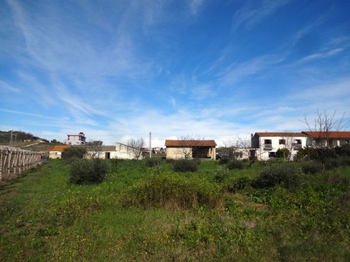 Three buildings and 3000 sqm of farm land, 500 meters to the beach