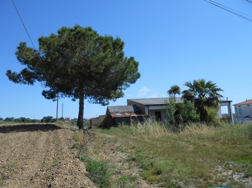 two bed habitable farm house with 8000sqm of land, 5km to beach 