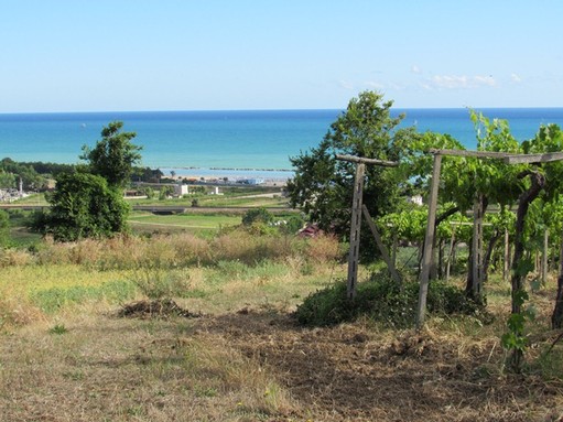 500000 sqm of flat land 2km to the beach, sea and mountain view 1