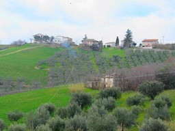 Building plot with ruin. 2 hectares. 2