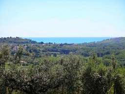 Building land of 5500sqm with sea view and olive grove, 5km to beach2