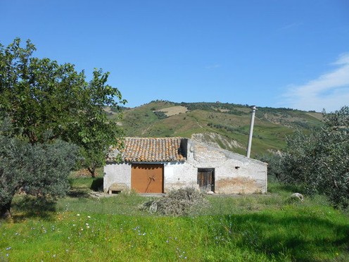 40sqm barn and 10,000sqm land for a 100sqm villa2
