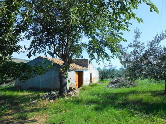 40sqm barn and 10,000sqm land for a 100sqm villa2