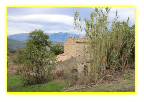 Discounted property in Abruzzo central Italy