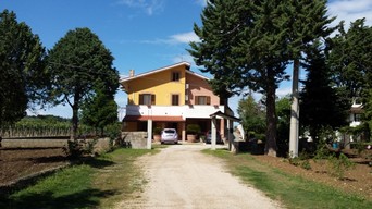 Villa made of three apartments with a hectare of land1